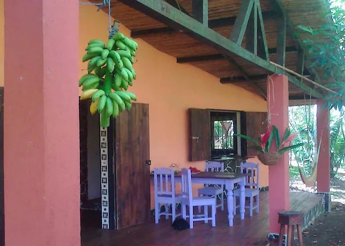 Vanilla Jungle Lodge - Rainforest Waterfall Garden