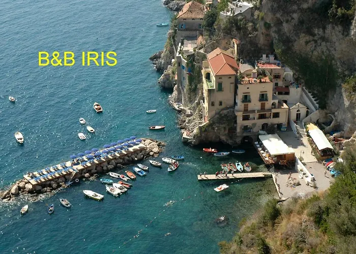 B&B Iris