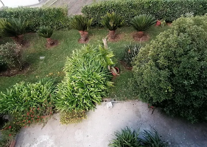 B&b Cilento Paestum