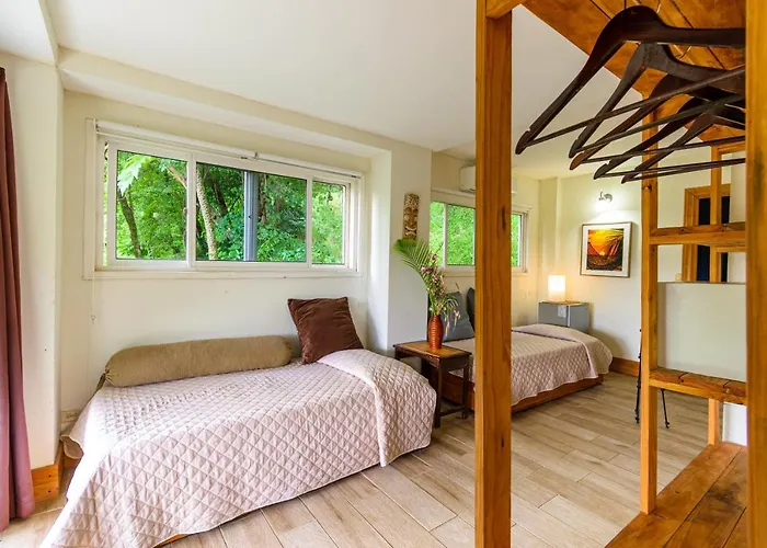 Funky Monkey Lodge