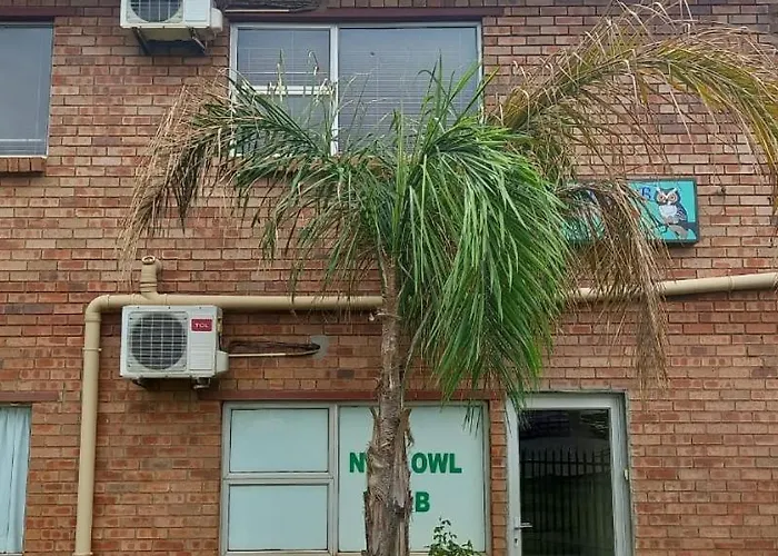Nite Owl B&B