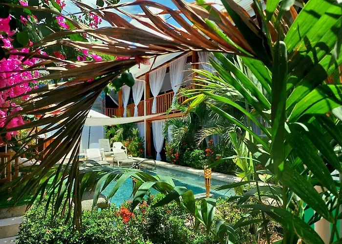 Bellavista Suites By Villas Verdes - Samara Beach