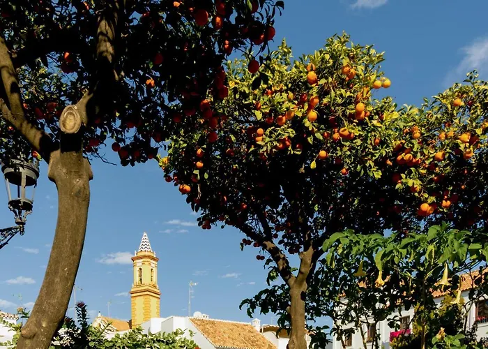 Casa Azul - Boutique Apartments By Casa Del Patio (Adults Only)