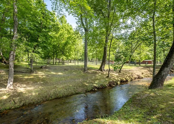 Cobb Creek Cabins