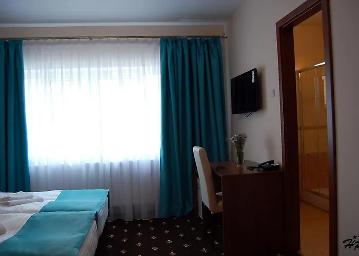 Hostel Paltinis