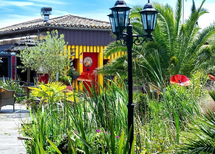 Le Bassin Du Tertre