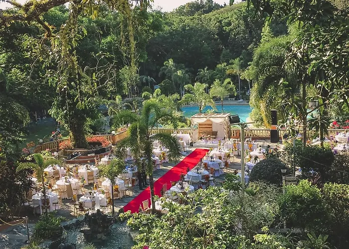 Momarco Forest Cove