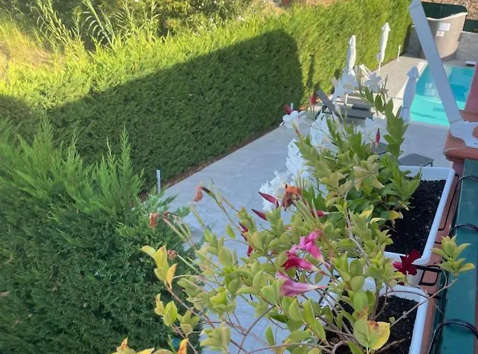 B&B Villa Fabrizia