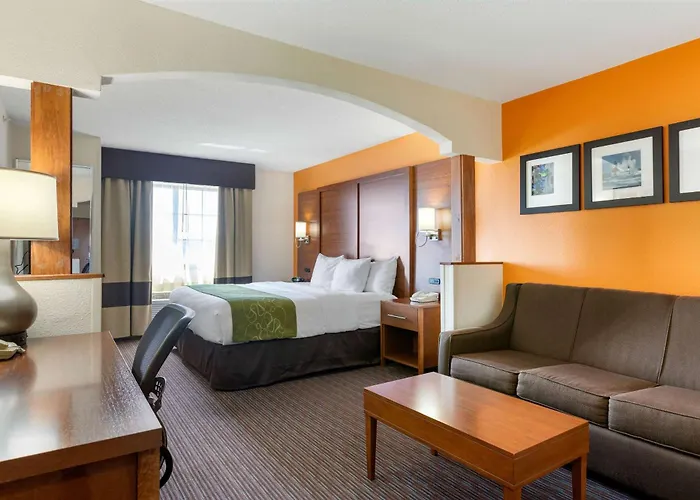 Comfort Suites Stevensville - St Joseph