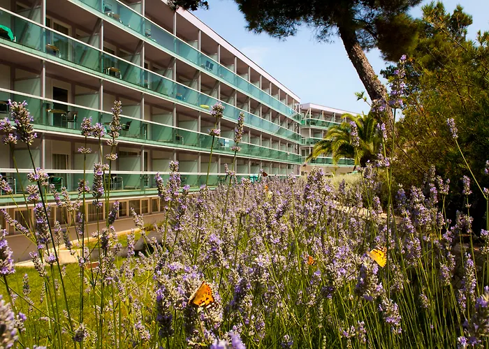 Hotel Aurora