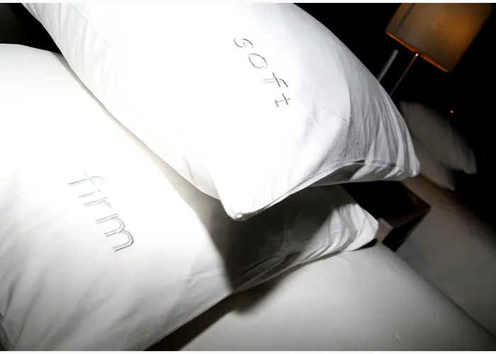 Holiday Inn Johannesburg Or Tambo Airport Hotel By Ihg