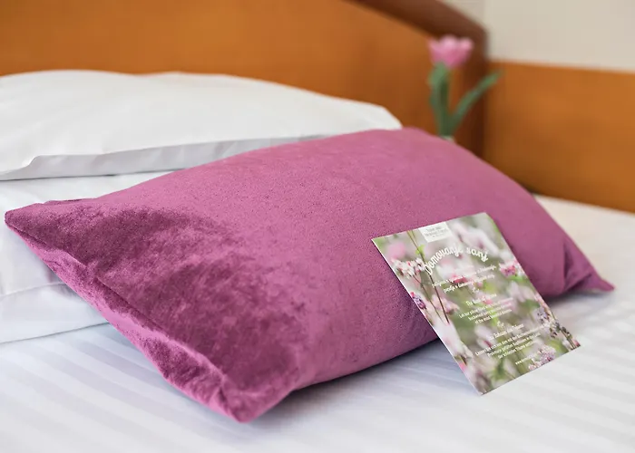 Hotel Ajda Depandance Prekmurska Vas - Terme 3000 - Sava Hotels & Resorts