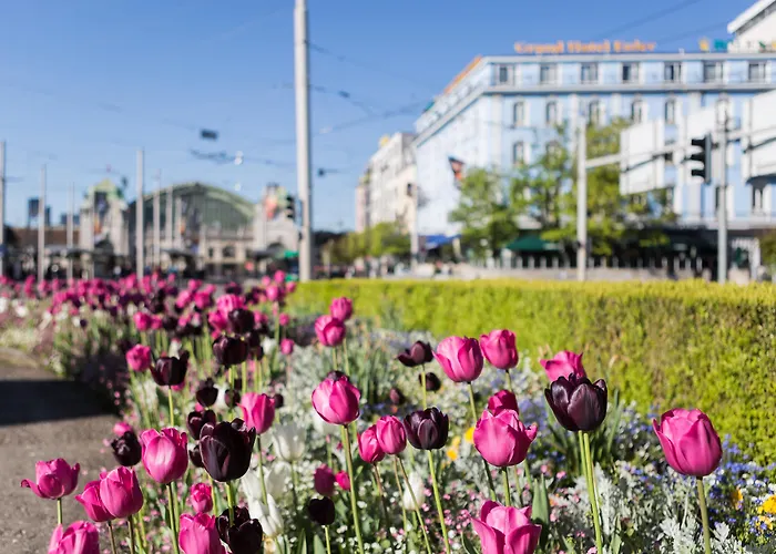 Hotel Euler Basel