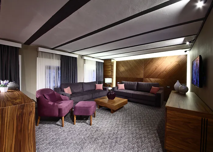 Montania Special Class Hotel