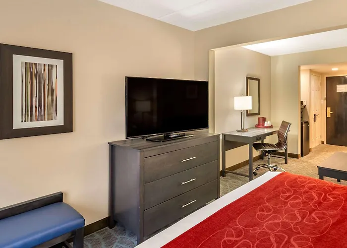 Comfort Suites Alpharetta-Roswell - Atlanta Area