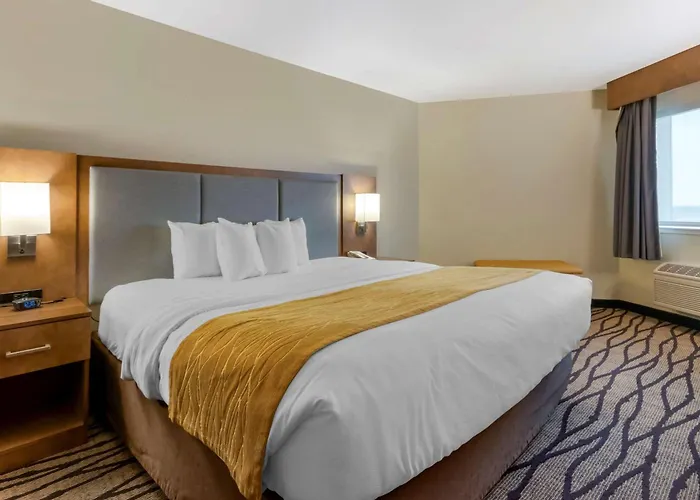Comfort Inn & Suites Market - Airport