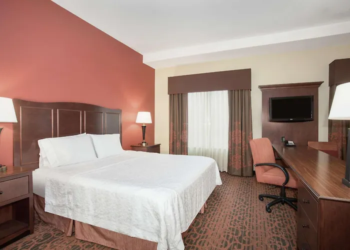 Hampton Inn And Suites Denver/South-Ridgegate