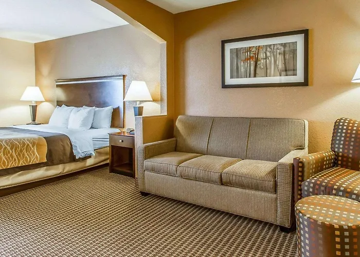 Quality Inn & Suites Mount Pleasant
