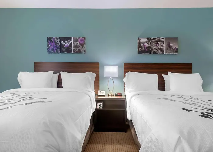 Sleep Inn & Suites Bricktown - Near Medical Center