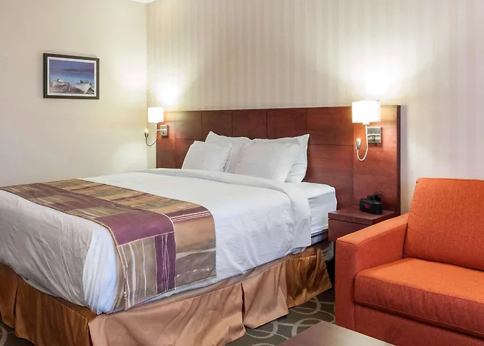 Quality Hotel & Suites