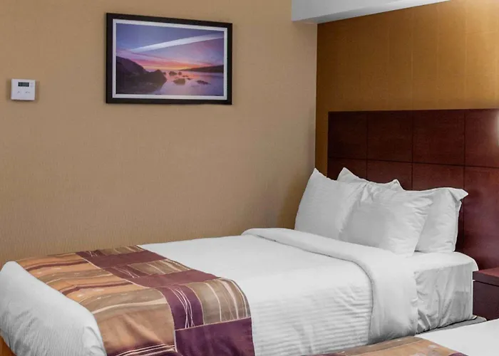 Quality Hotel & Suites