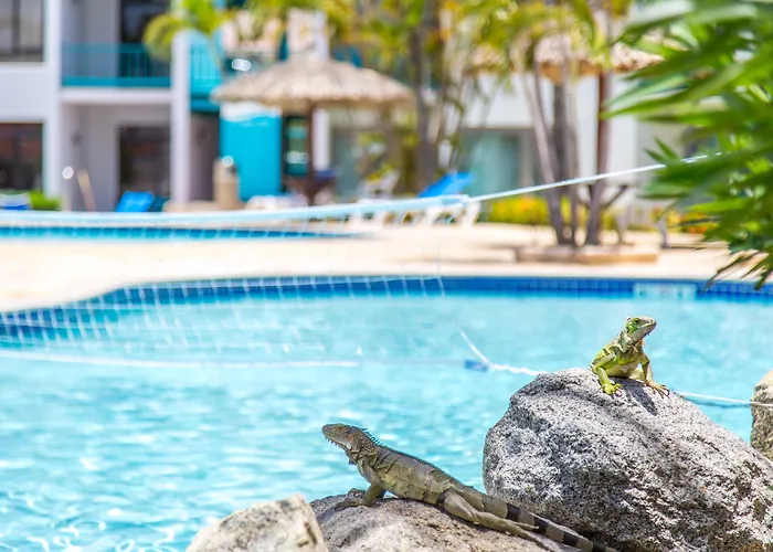 Courtyard By Marriott Aruba Resort