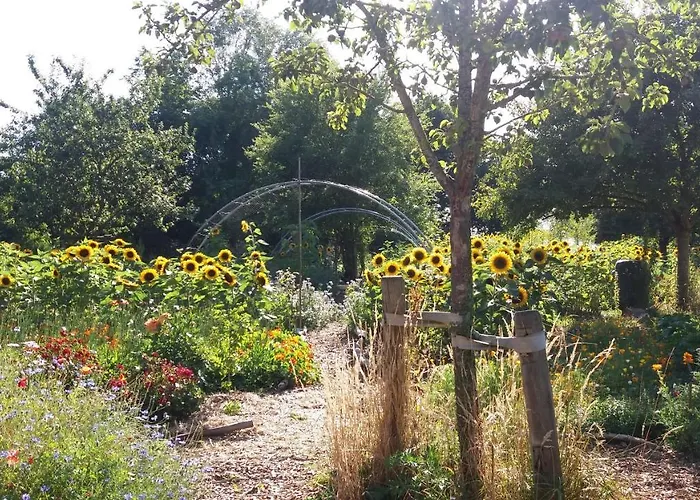 De Geheime Tuin - Boshuis