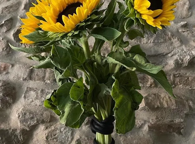 Torre dell’Angelo B&B