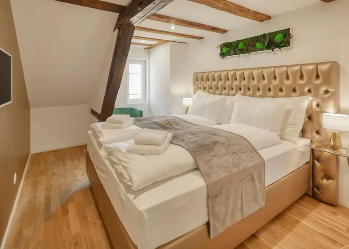 Visimo Apartments Steigerstrasse St Gallen - Modern Living Near Olma & Hospital