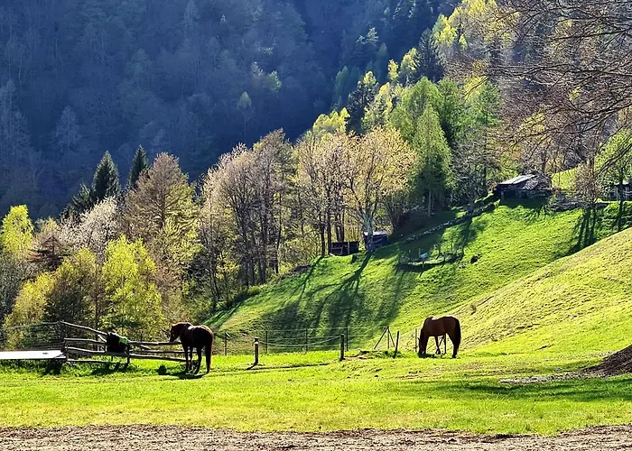 Baita Motti