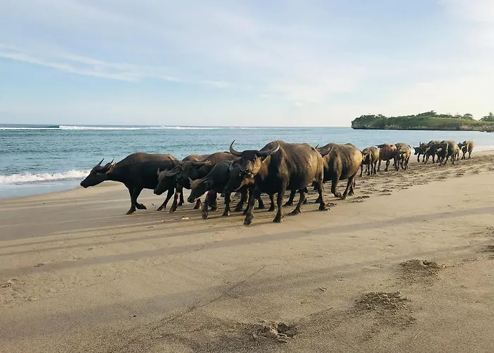 Sumba Beach House