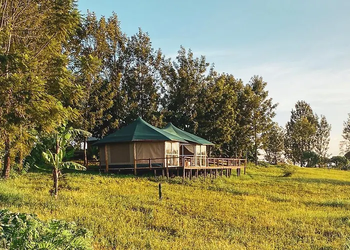 Foresight Eco Lodge & Safari