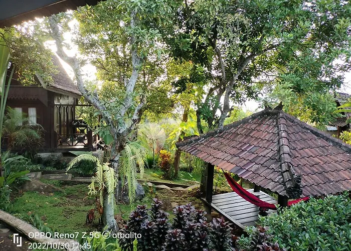 D'Kailash Retreat