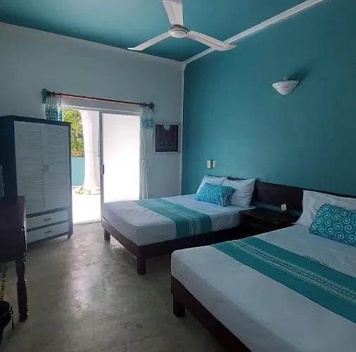 Delphinus Inn