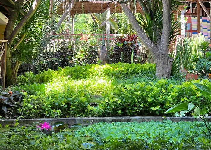 Centro Bajo Hotel & Resto