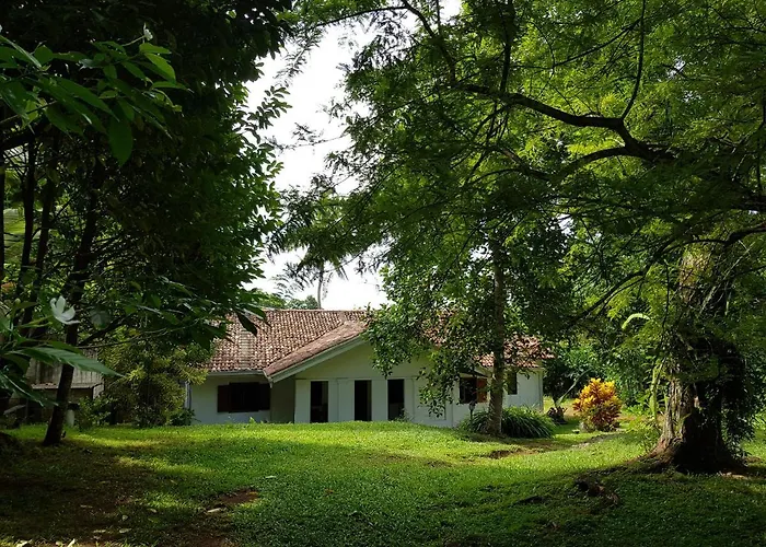 Chitra Ayurveda