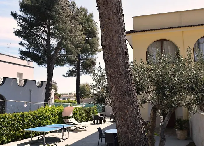 Le Mimose