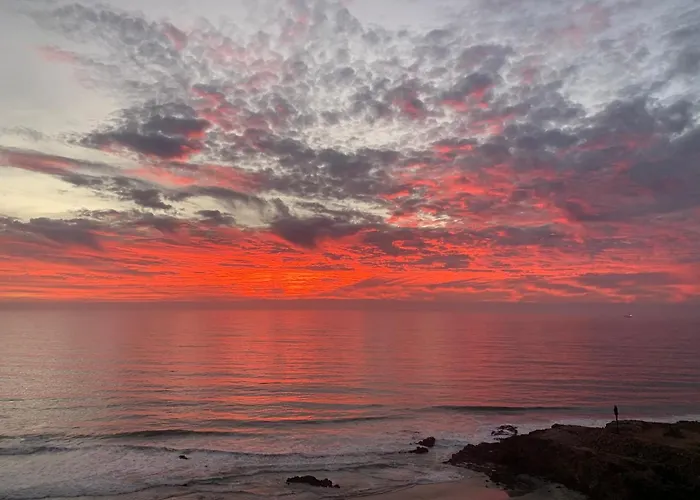 The Dolphins Ocean Front-Beach 2 Bedroom 2Bth