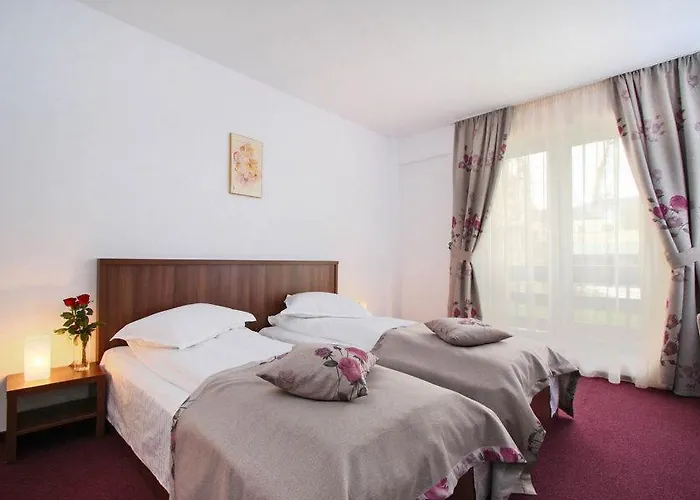 Hotel Domnitei