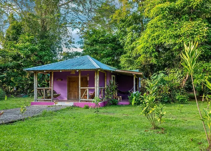 Casa Lavanda In Tropical Jungle Garden
