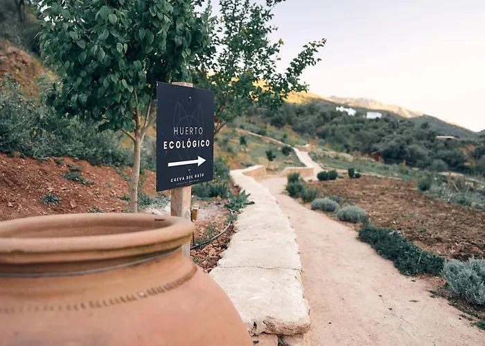 Eco Hotel Cueva Del Gato