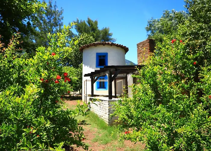 Eski Yeni Tatil Evi Olympos