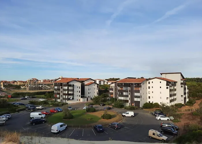 Joli T2 38 m2 rénové idéalement situé