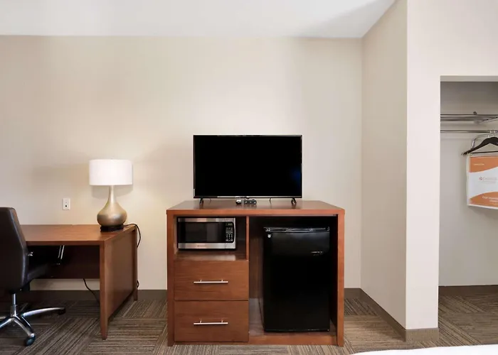Comfort Suites University