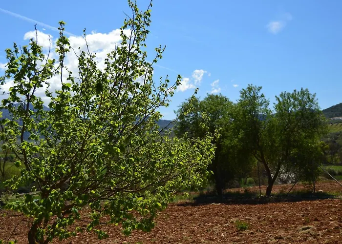 Cortijo Petra