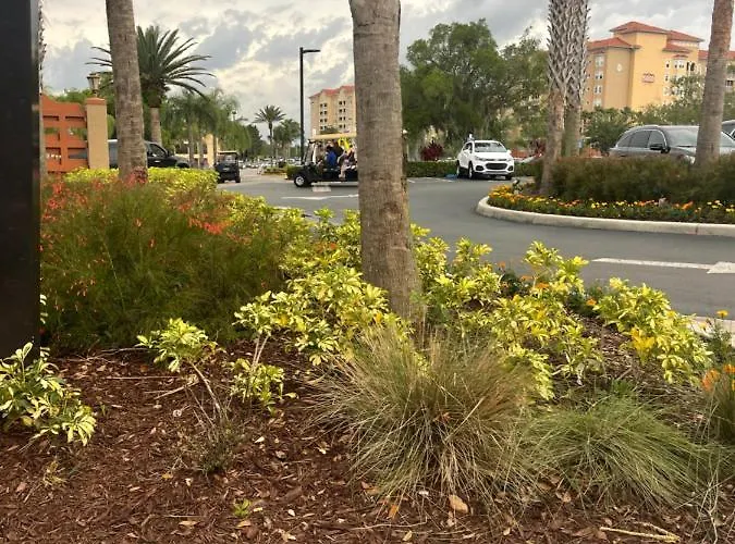 Kay'S Sweet Suite Near Disney