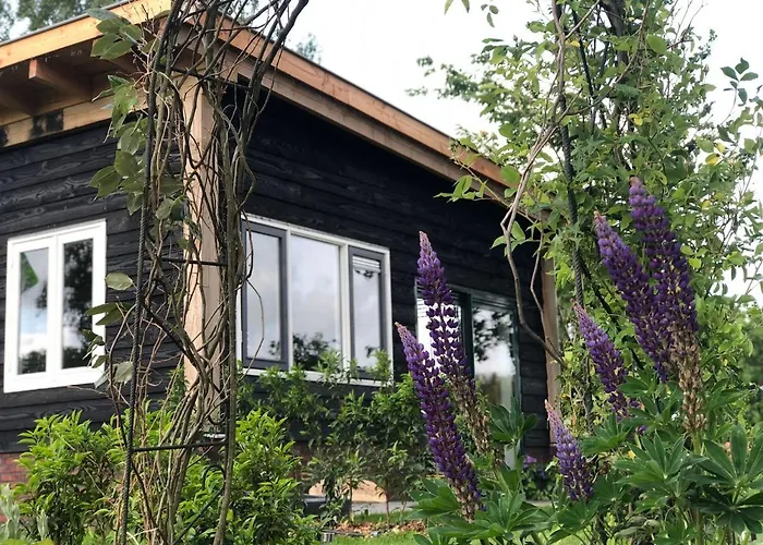Bed&Breakfast Bij de Wilg