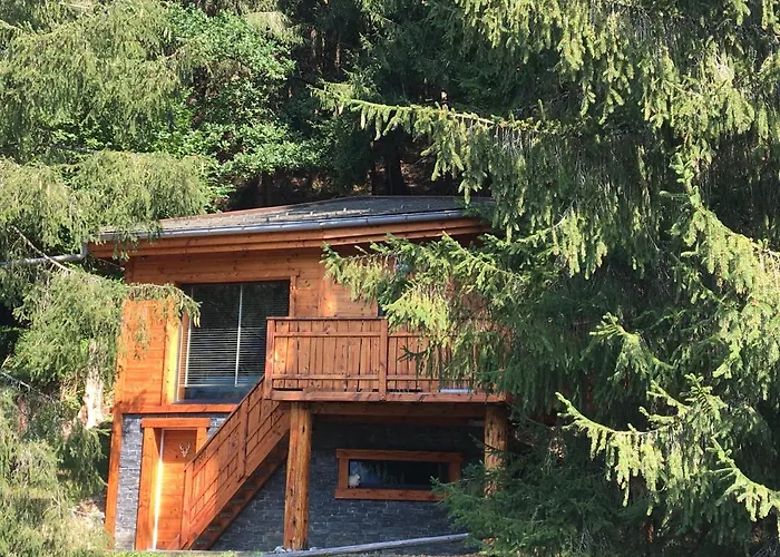Chalet Dans Les Arbres