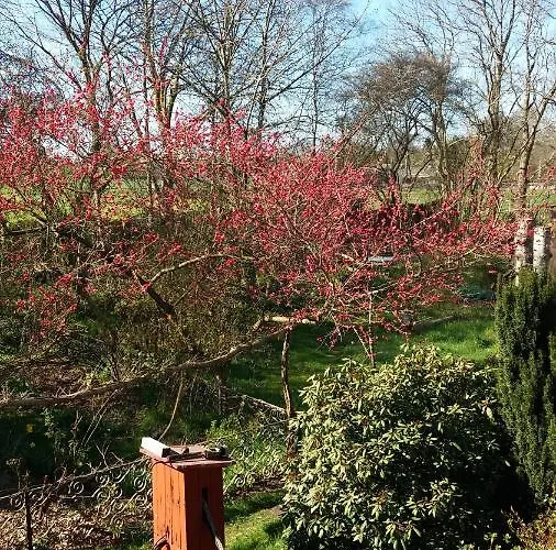 De Geheime Tuin - Uitzicht
