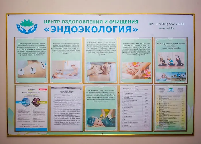 Отель Жансая